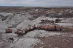 Gigantesco tronco petrificado, picotado por caçadores de cristais no Petrified Forest National Park, no Arizona - Estados Unidos